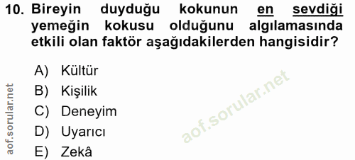10. soru: Bireyin duyduğu kokunun en sevdiği yemeğin kokusu olduğunu algılamasında etkili olan faktör aşağıdakilerden hangisidi…