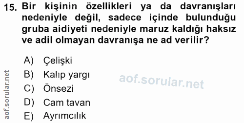15. soru: Bir kişinin özellikleri ya da davranışları nedeniyle değil, sadece içinde bulunduğu gruba aidiyeti nedeniyle maruz ka…