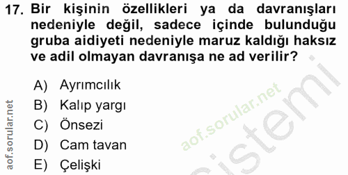 17. soru: Bir kişinin özellikleri ya da davranışları nedeniyle değil, sadece içinde bulunduğu gruba aidiyeti nedeniyle maruz ka…