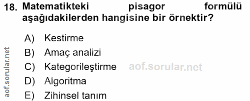 18. soru: Matematikteki pisagor formülü aşağıdakilerden hangisine bir örnektir? A) Kestirme B) Amaç analizi C) Kategorileştirme…