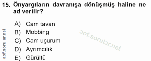 15. soru: Önyargıların davranışa dönüşmüş haline ne ad verilir? A) Cam tavan B) Mobbing C) Cam uçurum D) Ayrımcılık E) Gürültü
