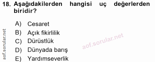 18. soru: Aşağıdakilerden hangisi uç değerlerden biridir? A) Cesaret B) Açık fikirlilik C) Dürüstlük D) Dünyada barış E) Yardım…