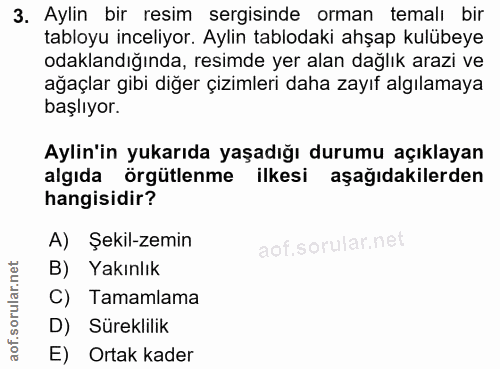 3. soru: Aylin bir resim sergisinde orman temalı bir tabloyu inceliyor. Aylin tablodaki ahşap kulübeye odaklandığında, resimde…
