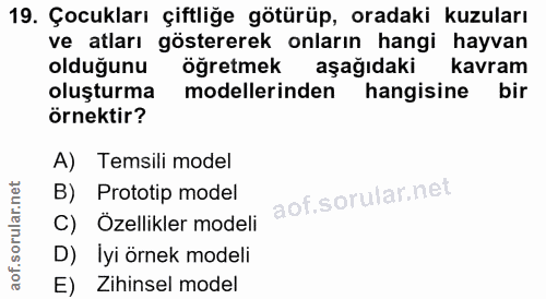 19. soru: Çocukları çiftliğe götürüp, oradaki kuzuları ve atları göstererek onların hangi hayvan olduğunu öğretmek aşağıdaki ka…