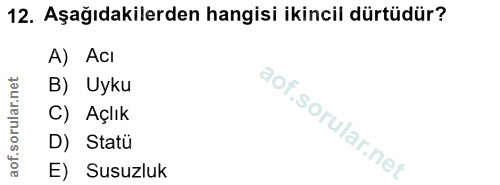 12. soru: Aşağıdakilerden hangisi ikincil dürtüdür? A) Acı B) Uyku C) Açlık D) Statü E) Susuzluk