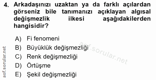 4. soru: Arkadaşınızı uzaktan ya da farklı açılardan görseniz bile tanımanızı açıklayan algısal değişmezlik ilkesi aşağıdakile…