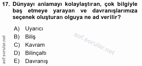 17. soru: Dünyayı anlamayı kolaylaştıran, çok bilgiyle baş etmeye yarayan ve davranışlarımıza seçenek oluşturan olguya ne ad ve…