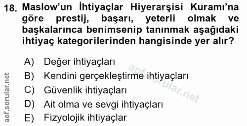 18. soru: Maslow'un Ihtiyaçlar Hiyerarşisi Kuramı'na göre prestij, başarı, yeterli olmak ve başkalarınca benimsenip tanınmak aş…