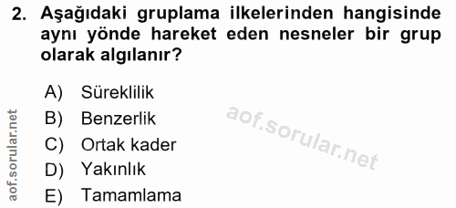 2. soru: Aşağıdaki gruplama ilkelerinden hangisinde aynı yönde hareket eden nesneler bir grup olarak algılanır? A) Süreklilik…