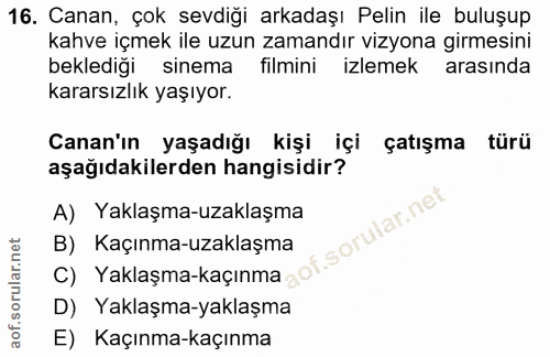 16. soru: Canan, çok sevdiği arkadaşı Pelin ile buluşup kahve içmek ile uzun zamandır vizyona girmesini beklediği sinema filmin…