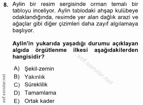 8. soru: Aylin bir resim sergisinde orman temalı bir tabloyu inceliyor. Aylin tablodaki ahşap kulübeye odaklandığında, resimde…