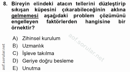 8. soru: Bireyin elindeki atacın tellerini düzleştirip sıkışan küpesini çıkarabileceğinin aklına gelmemesi aşağıdaki problem ç…