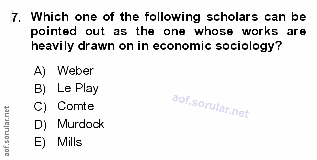 7. soru: Which one of the following scholars can be pointed out as the one whose works are heavily drawn on in economic sociol…