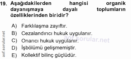 19. soru: Aşağıdakilerden hangisi organik dayanışmaya dayalı toplumların özelliklerinden biridir? A) Farklılaşma zayıftır. B) C…