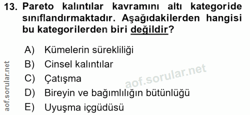 13. soru: Pareto kalıntılar kavramını altı kategoride sınıflandırmaktadır. Aşağıdakilerden hangisi bu kategorilerden biri değil…