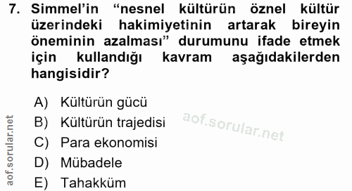 7. soru: Simmel'in "nesnel kültürün öznel kültür üzerindeki hakimiyetinin artarak bireyin öneminin azalması" durumunu ifade et…