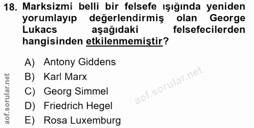18. soru: Marksizmi belli bir felsefe ışığında yeniden yorumlayıp değerlendirmiş olan George Lukacs aşağıdaki felsefecilerden h…