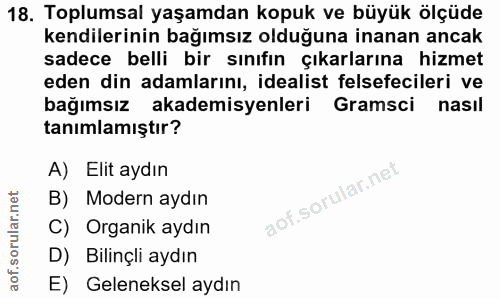 18. soru: Toplumsal yaşamdan kopuk ve büyük ölçüde kendilerinin bağımsız olduğuna inanan ancak sadece belli bir sınıfın çıkarla…
