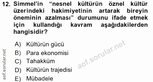 12. soru: Simmel'in "nesnel kültürün öznel kültür üzerindeki hakimiyetinin artarak bireyin öneminin azalması" durumunu ifade et…
