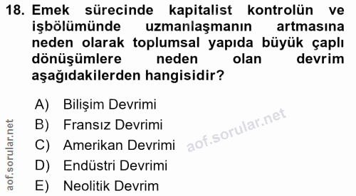 18. soru: Emek sürecinde kapitalist kontrolün ve işbölümünde uzmanlaşmanın artmasına neden olarak toplumsal yapıda büyük çaplı…