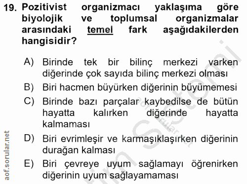 19. soru: Pozitivist organizmacı yaklaşıma göre biyolojik ve toplumsal organizmalar arasındaki temel fark aşağıdakilerden hangi…