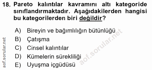 18. soru: Pareto kalıntılar kavramını altı kategoride sınıflandırmaktadır. Aşağıdakilerden hangisi bu kategorilerden biri değil…