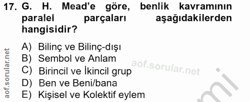 17. soru: G. H. Mead'e göre, benlik kavramının paralel parçaları aşağıdakilerden hangisidir? A) Bilinç ve Bilinç-dışı B) Sembol…