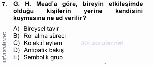 7. soru: G. H. Mead'a göre, bireyin etkileşimde olduğu kişilerin yerine kendisini koymasına ne ad verilir? A) Bireysel tavır B…