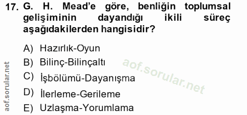 17. soru: G. H. Mead'e göre, benliğin toplumsal gelişiminin dayandığı ikili süreç aşağıdakilerden hangisidir? A) Hazırlık-Oyun…