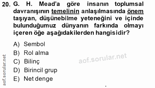 20. soru: G. H. Mead'a göre insanın toplumsal davranışının temelinin anlaşılmasında önem taşıyan, düşünebilme yeteneğini ve içi…