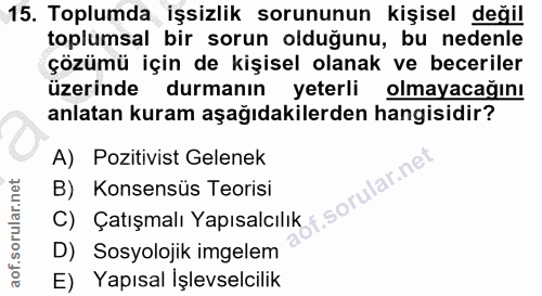 15. soru: Toplumda işsizlik sorununun kişisel değil toplumsal bir sorun olduğunu, bu nedenle çözümü için de kişisel olanak ve b…