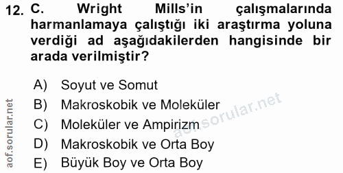 12. soru: C. Wright Mills'in çalışmalarında harmanlamaya çalıştığı iki araştırma yoluna verdiği ad aşağıdakilerden hangisinde b…