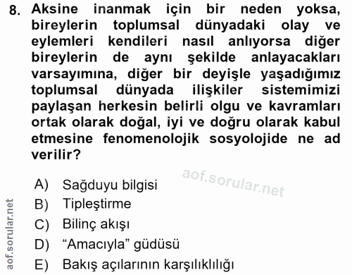 8. soru: Aksine inanmak için bir neden yoksa, bireylerin toplumsal dünyadaki olay ve eylemleri kendileri nasıl anlıyorsa diğer…