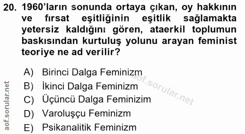20. soru: 1960'ların sonunda ortaya çıkan, oy hakkının ve fırsat eşitliğinin eşitlik sağlamakta yetersiz kaldığını gören, ataer…