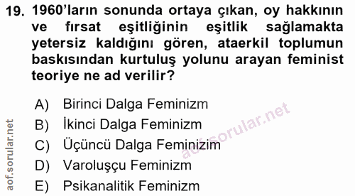 19. soru: 1960'ların sonunda ortaya çıkan, oy hakkının ve fırsat eşitliğinin eşitlik saglamakta yetersiz kaldığını gören, ataer…