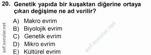 20. soru: Genetik yapıda bir kuşaktan diğerine ortaya çıkan değişime ne ad verilir? A) Makro evrim B) Biyolojik evrim C) Geneti…