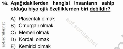16. soru: Aşağıdakilerden hangisi insanların sahip olduğu biyolojik özelliklerden biri değildir? A) Plasentalı olmak B) Omurgal…