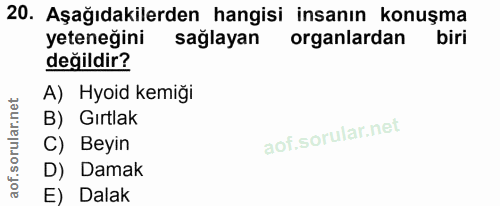 20. soru: Aşağıdakilerden hangisi insanın konuşma yeteneğini sağlayan organlardan biri değildir? A) Hyoid kemiği B) Gırtlak C)…