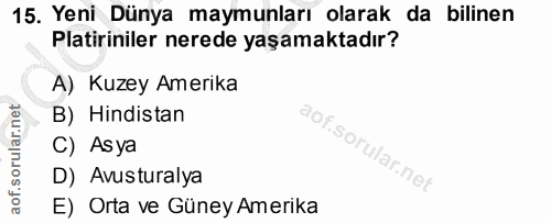 15. soru: Yeni Dünya maymunları olarak da bilinen Platiriniler nerede yaşamaktadır? A) Kuzey Amerika B) Hindistan C) Asya D) Av…