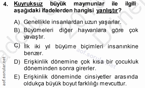4. soru: Kuyruksuz büyük maymunlar ile llgili aşağıdaki ifadelerden hangisi yanlıştır? A) Genellikle insanlardan uzun yaşarlar…