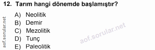 12. soru: Tarım hangi dönemde başlamıştır? A) Neolitik B) Demir C) Mezolitik D) Tunç E) Paleolitik