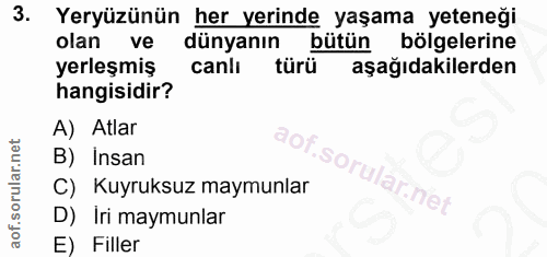 3. soru: Yeryüzünün her yerinde yaşama yeteneği olan ve dünyanın bütün bölgelerine yerleşmiş canlı türü aşağıdakilerden hangis…