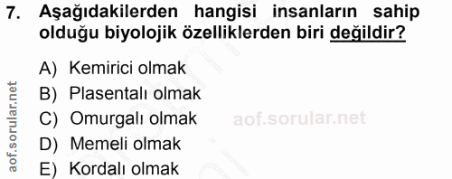 7. soru: Aşağıdakilerden hangisi insanların sahip olduğu biyolojik özelliklerden biri değildir? A) Kemirici olmak B) Plasental…