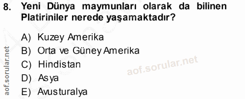 8. soru: Yeni Dünya maymunları olarak da bilinen Platiriniler nerede yaşamaktadır? A) Kuzey Amerika B) Orta ve Güney Amerika C…