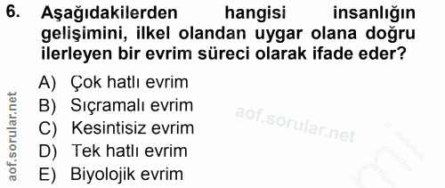 6. soru: Aşağıdakilerden hangisi insanlığın gelişimini, ilkel olandan uygar olana doğru ilerleyen bir evrim süreci olarak ifad…