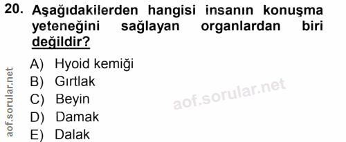 20. soru: Aşağıdakilerden hangisi insanın konuşma yeteneğini sağlayan organlardan biri değildir? A) Hyoid kemiği B) Gırtlak C)…