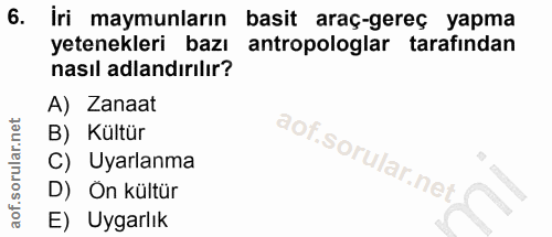 6. soru: İri maymunların basit araç-gereç yapma yetenekleri bazı antropologlar tarafindan nasıl adlandırılır? A) Zanaat B) Kül…