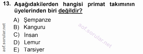 13. soru: Aşağıdakilerden hangisi primat takımının üyelerinden biri değildir? A) Şempanze B) Kanguru C) Insan D) Lemur E) Tarsiyer