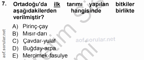 7. soru: Ortadoğu'da ilk tarımi" yapılan bitkiler aşağıdakilerden hangisinde birlikte verilmiştir? A) Pirinç-çay B) Mısır-darı…