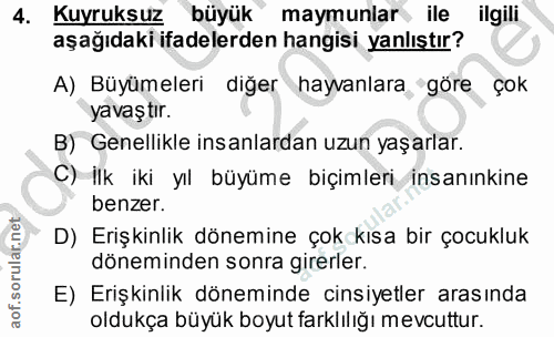 4. soru: Kuyruksuz büyük maymunlar ile ilgili aşağıdaki ifadelerden hangisi yanlıştır? A) Büyümeleri diğer hayvanlara göre Çok…